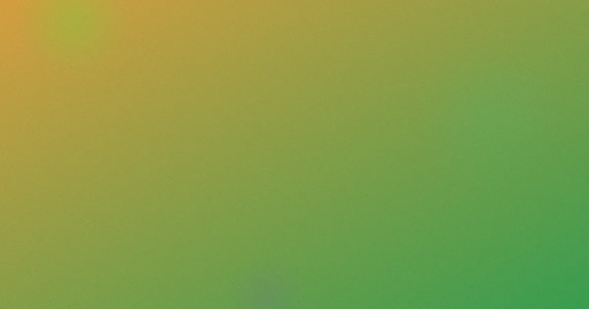 你就是我的风景测评